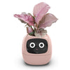 Smart AI Flowerpot - Intelligent Plant Care System with 7 Sensors