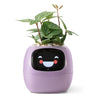 Smart AI Flowerpot - Intelligent Plant Care System with 7 Sensors